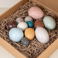 SENHE Wholesale Simulation Kitchen Food Kids Pretend Play Wooden Eggs Toys Set Children Kid Educational Montessori Sensory Toys