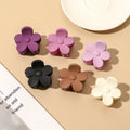 Wholesale 2022 New Matte Plastic Hair Accessories Hair Claw Clips Large Nonslip Thick Hairpin for Girl