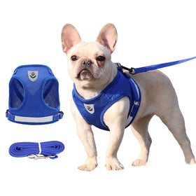 Custom Logo Dog Harness Wholesale Adjustable Reflective Dog Harness Dog Harness Set and Leash