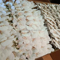 B-2232 Wholesale Real Touch Artificial Orchid Flowers Orchid Blue White Latex Orchid for Decoration