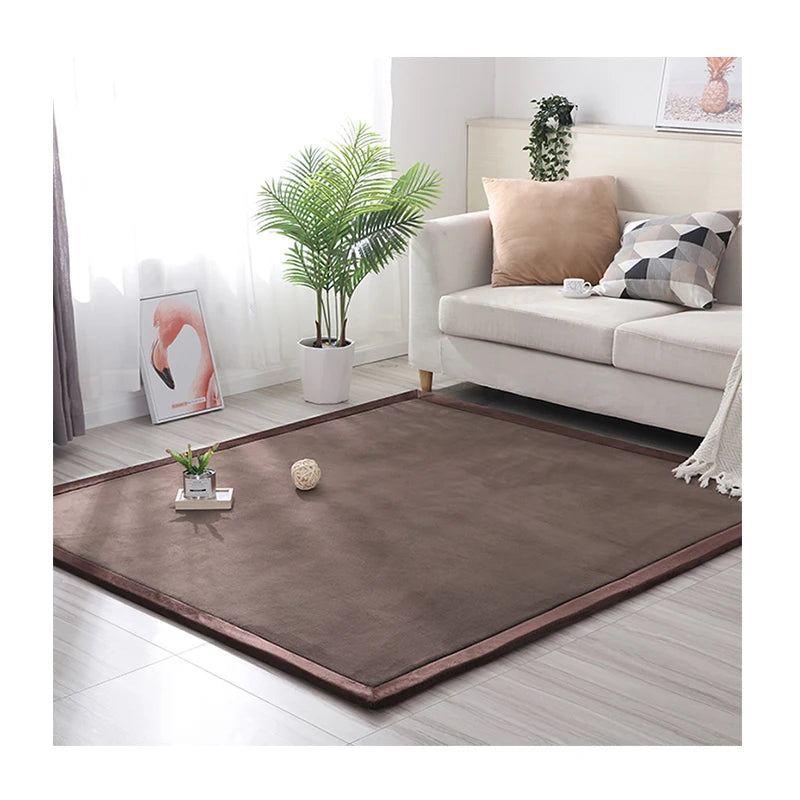 3 CM Coral Fleece Slow Rebound Carpet Memory Foam Japanese Tatami Rug for Lving Room Thick Memory Foam Carpet