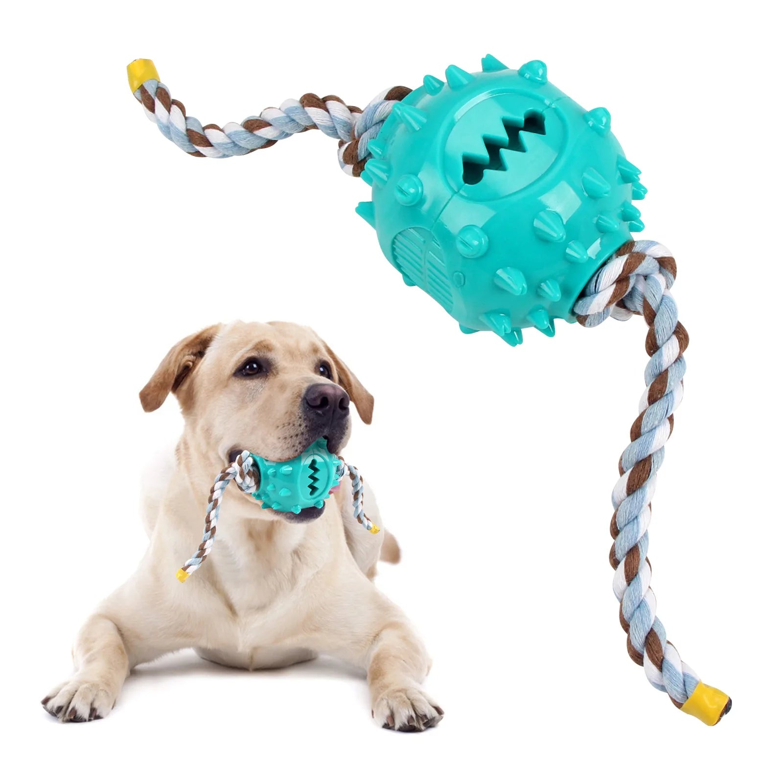 OEM Interactive Durable TPR Dog Toys Grinding Teeth Bite-Resistant Hidden Food Rope Balls Bite-Free Dog Toys Missing Food