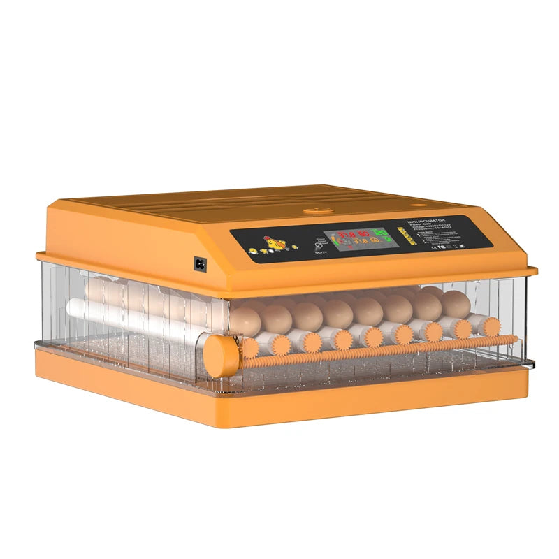 Fully Automatic Chicken Solar 64 Egg Incubator and Hatcher with Dual Voltage