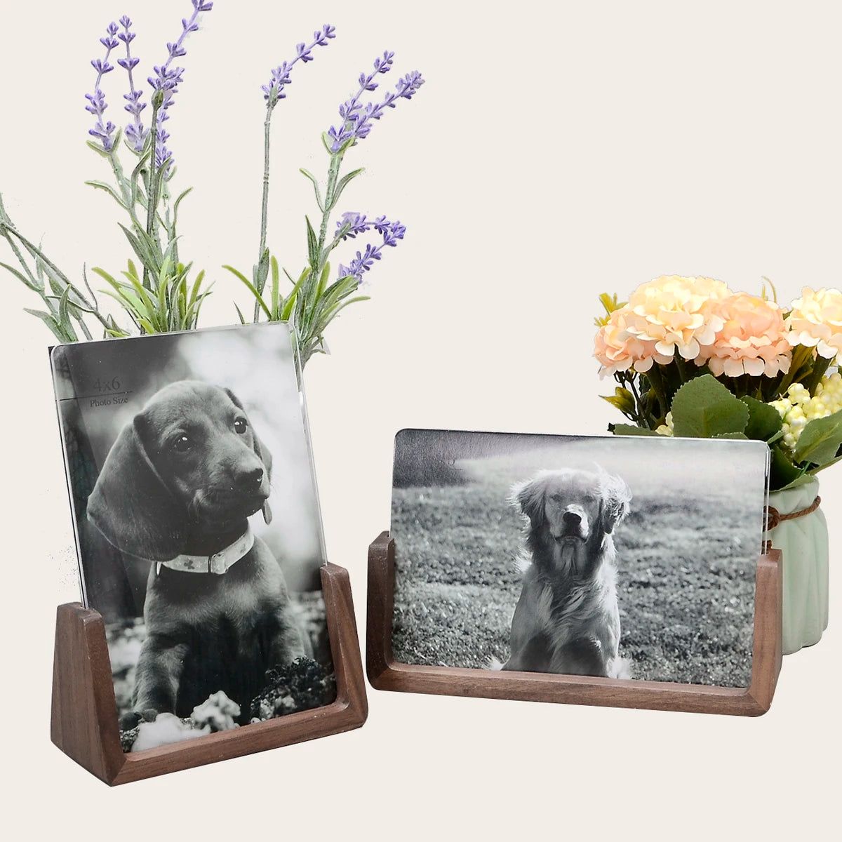 Ready to Ship Colorful Rustic Square Wooden Photo Frames with Walnut Wood Base for Pets Offset Printed Custom Logo Option