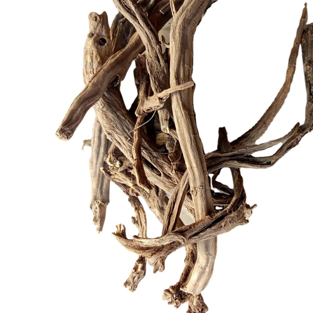 Precious China Herb Dried Common Lamiophlomis Rotata Roots for Sale