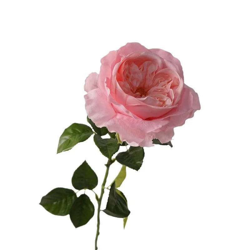 Austin Juliet High Quality Elegant Flower Arrangement Simulated Bouquet Moisturizing Roses for Living Room Coffee Graduation