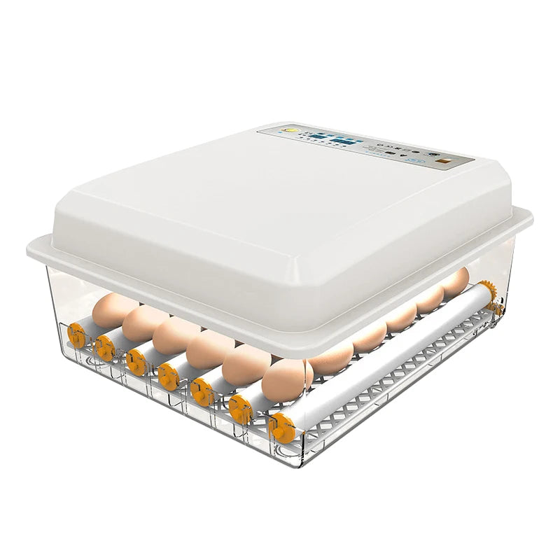 Factory Directly Supply Inqubator Chicken Egg Incubator 36 Eggs Hatching Machine Farm CE Engine Accessories for Eggs Incubator