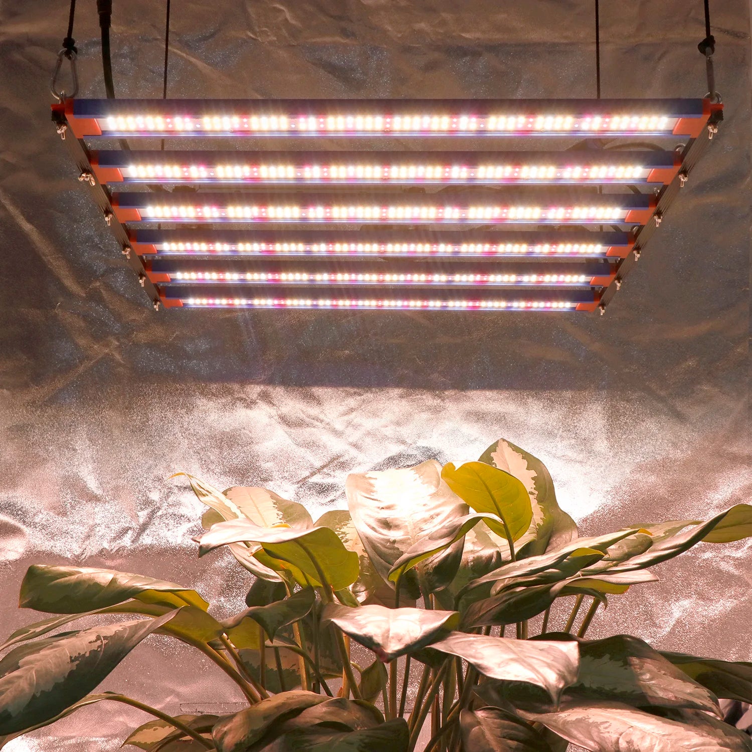 YXO Yuxinou Sam-sung LM301H EVO Plant Grow Lights Vertical Greenhouse 320w Led Grow Light Bar for Indoor Plants