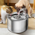 Water Fountain Stainless Steel 2L Automatic Pet Cats Water Bowl Dispenser Inside Ultra Quiet Dog Water Dish