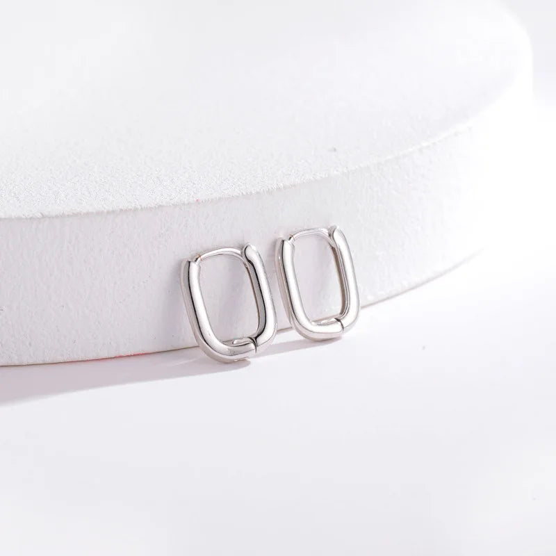 Anniversary Engagement Gift Party Silver Gold Statement Hoop Earrings New Arrivales Trendy Wholesale  Contracted Earrings