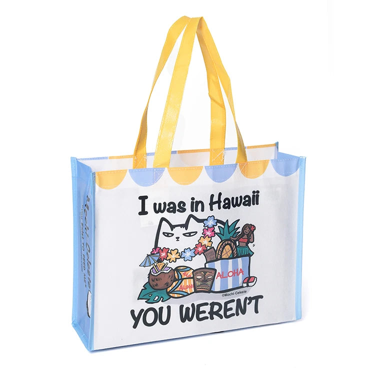 Laminated Non Woven Shopping Bag Custom Printed Non Woven Grocery Bags Recycled Non Woven Handle Bag