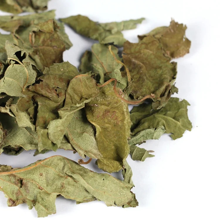 Supply Raw Material Wholesale Price Dried Whole/crushed Actinidia Polygama Silvervine Matatabi Leaves