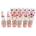 5 Color Professional High Quality Vegan Matte Private Label Waterproof Lip Makeup Lipstick Wholesale Matte Liquid Lipstick