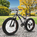 Factory Price Wholesale 26 Inch 26x4.0 Fat Tire Mountain Bike with Disc Brake for Adult Snow Beach Cruiser Stock