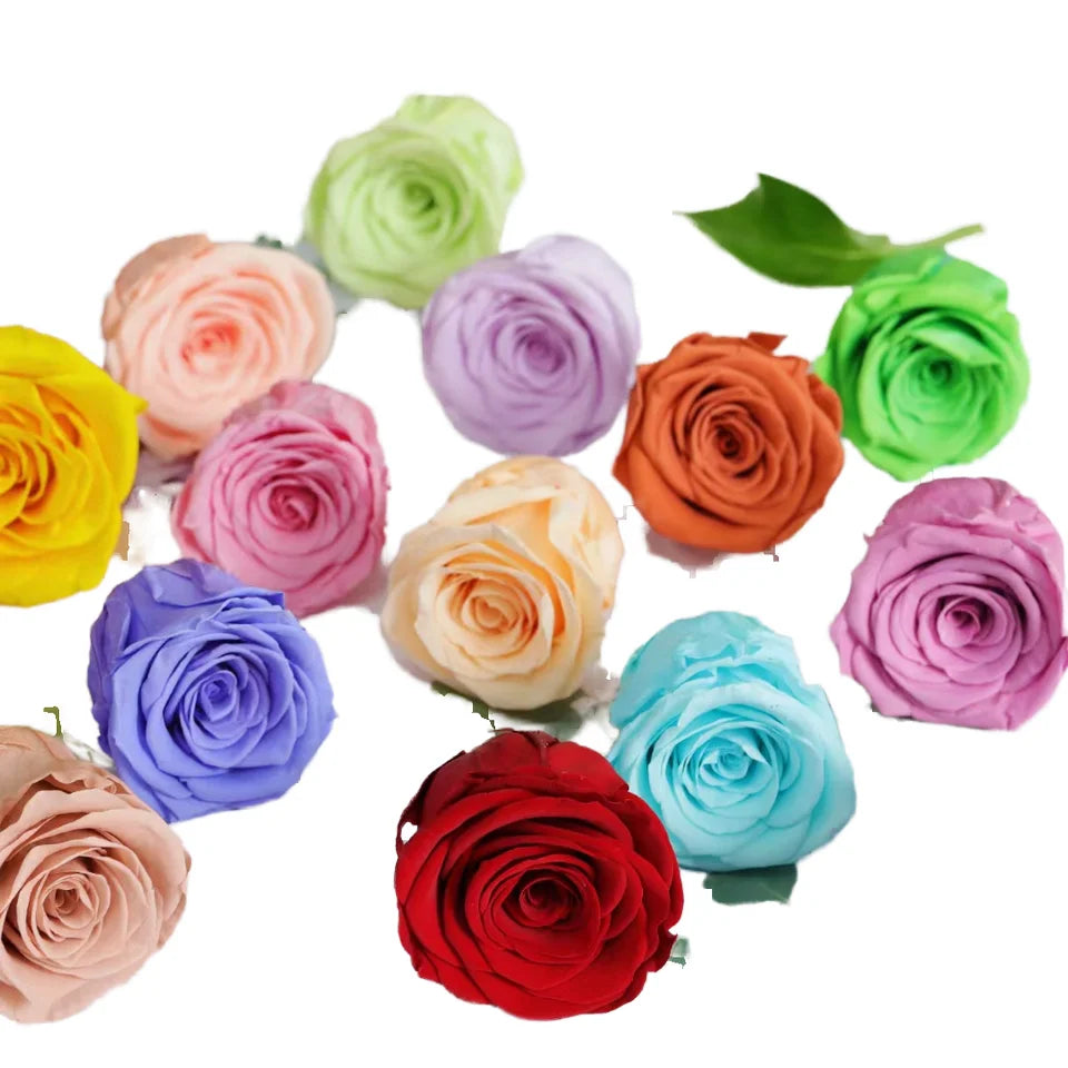 Green Environmental Friendly Natural Fresh Rose Preserved Flowers Head 4-5cm Long Lasting Eternal Mother's Day Valentine's Day