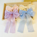 2023 Wholesale Net Yarn Streamer Spring Clamp Hairpin Women Bow Hair Clips Grosgrain Ribbon Ribbon Bow Clip Hair for Women Girls