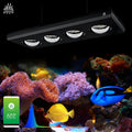 WEEK AQUA Aquarium Light Manufacturers Blue Reef Light Led Aquarium Marine Coral Light Salt and Water Lamp for Red Sea Reef tank