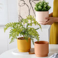 Wholesale Spring Color Creative Succulent Cactus Pot Ceramic Planter Home Decor Flower Pots