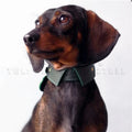 Dog Neck Collar Leather Dog Pets Puppy Neck Collar Custom Engraved Collars