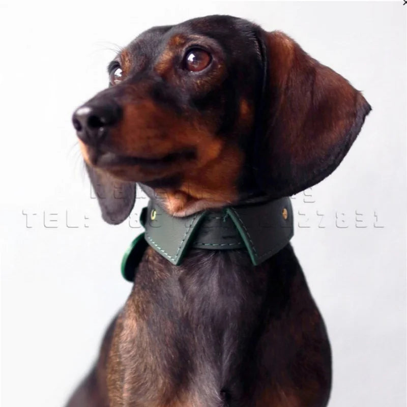 Dog Neck Collar Leather Dog Pets Puppy Neck Collar Custom Engraved Collars