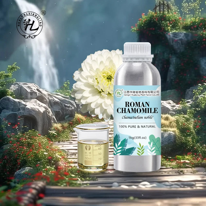 Italy Roman Chamomile Essential Oil for Diffuser Candle Soap Perfume Making - 100% Pure Natural Plant Extract | Bulk Price 1kg