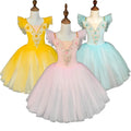 Girl's Camisole Skirted Leotard Ballet Dress Lace Sequin Ballet Tutu Skirt Swan Ballet Costumes for Competition