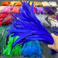 Wholesale Custom Dyeing Mardi Gras Rooster Tail Feathers Holiday Feathers Decoration Crafts DIY Decoration