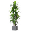 Large 130cm Green Yucca Tree Indoor Decor Real Touch Faux Plastic 51pcs Hotel Office Color Wire Packing Home Plant Decoration