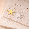 Stainless Steel Star Pendant Charm Gold Plated Mini Star Charm Accessories Accessories for Necklace Bracelet