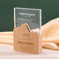 Crystal Trophy with Wooden Base Glass Crafts Gifts for Company Anniversary Customize Award Souvenirs