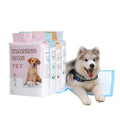 High Absorbent Disposable Wholesale Pet Pee Pad Puppy Training for Sale
