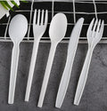 Friendly Materials Cutlery Composatable Biodegradable Plastic Spoon for Party Restaurant Cpla Disposable Spoon Knife Fork