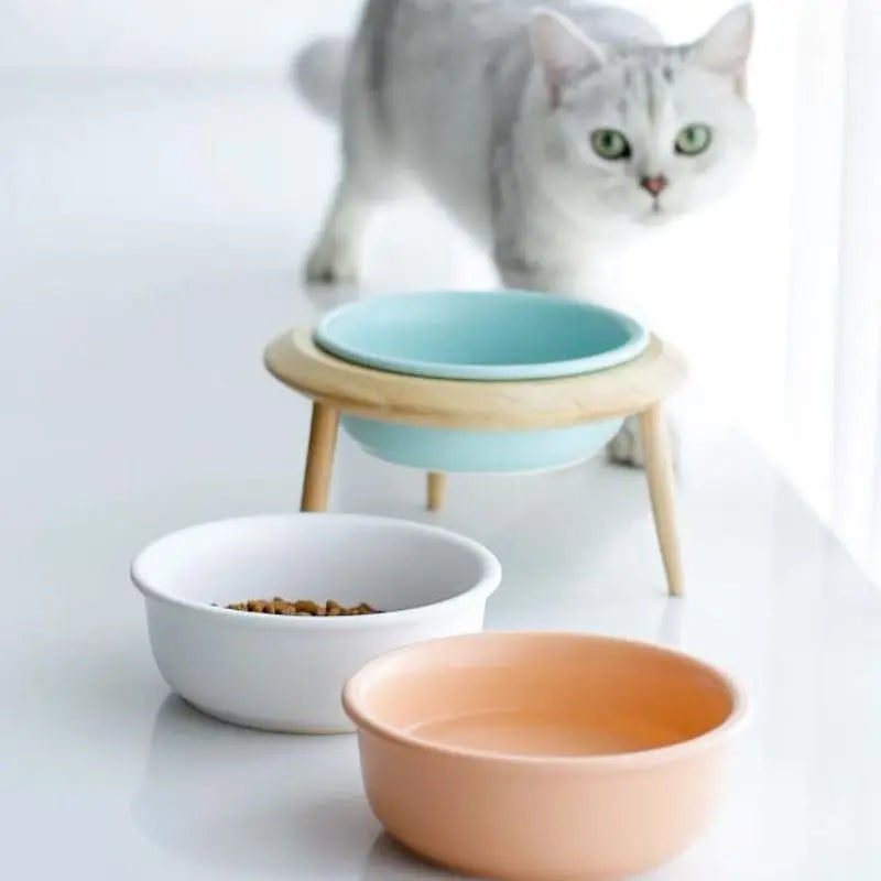 Elegant Ceramic Pet Ceramics Bowl: Durable and Stylish Solution for Cat Bowl