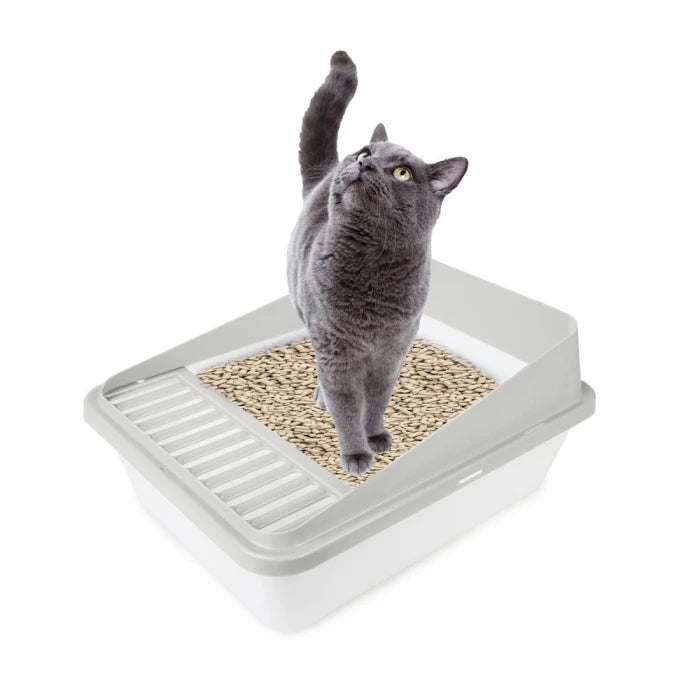 AFP Best  Seller Sand Small Size Easy Assemble Accessories High Back Cat Litter Box