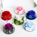 2026 AYOYO Valentine's Day Gift Jewelry Box Wholesale Mother's Day Gift Rose Dried Flower Preserved Flower Finished Product