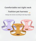 High Quality Stocked Vest Style Dog Outdoor Leash Three Piece Collar for Cats and Small Dogs Dog Harness