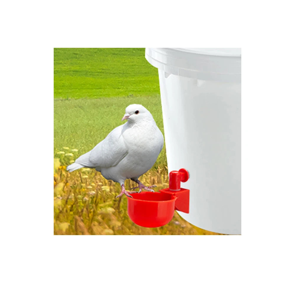 Chicken Drinking Cup Automatic Drinker Chicken Feeder Plastic Poultry Water Drinking Cups