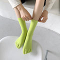 Socks Candy Color Five Toe Wholesale Socks Simple Solid Color Japanese Socks