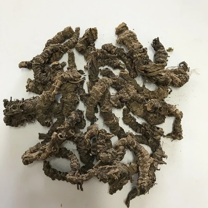 1019 Xie Cao Gen Root Valeriana Officinalis Wholesale Valerian Root Extract Radix Valerianae