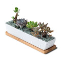 Dropshipping 11.1 Inch White Ceramic Succulent Planter Pot Bamboo Saucers Rectangular Rectangle Shape for Home Garden Office