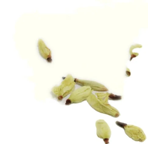 Natural Whole Dry Murraya Flowers Raw Dried Murraya Paniculata Flower Buds for Tea