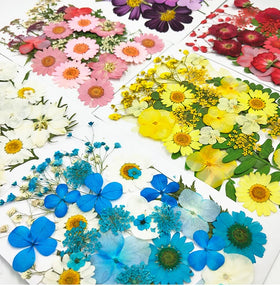 Hot DIY Material Dried Pressed Flowers Real Makeup Stickers Bookmarks Resins Nail Materials Artificial Flowers