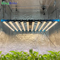 3800PCS Leds Shenzhen KingBrite Lighting 1000W LM301H /LM281B+ Pro 660nm+UV IR +Blue King Brite Samsung LED Grow Light