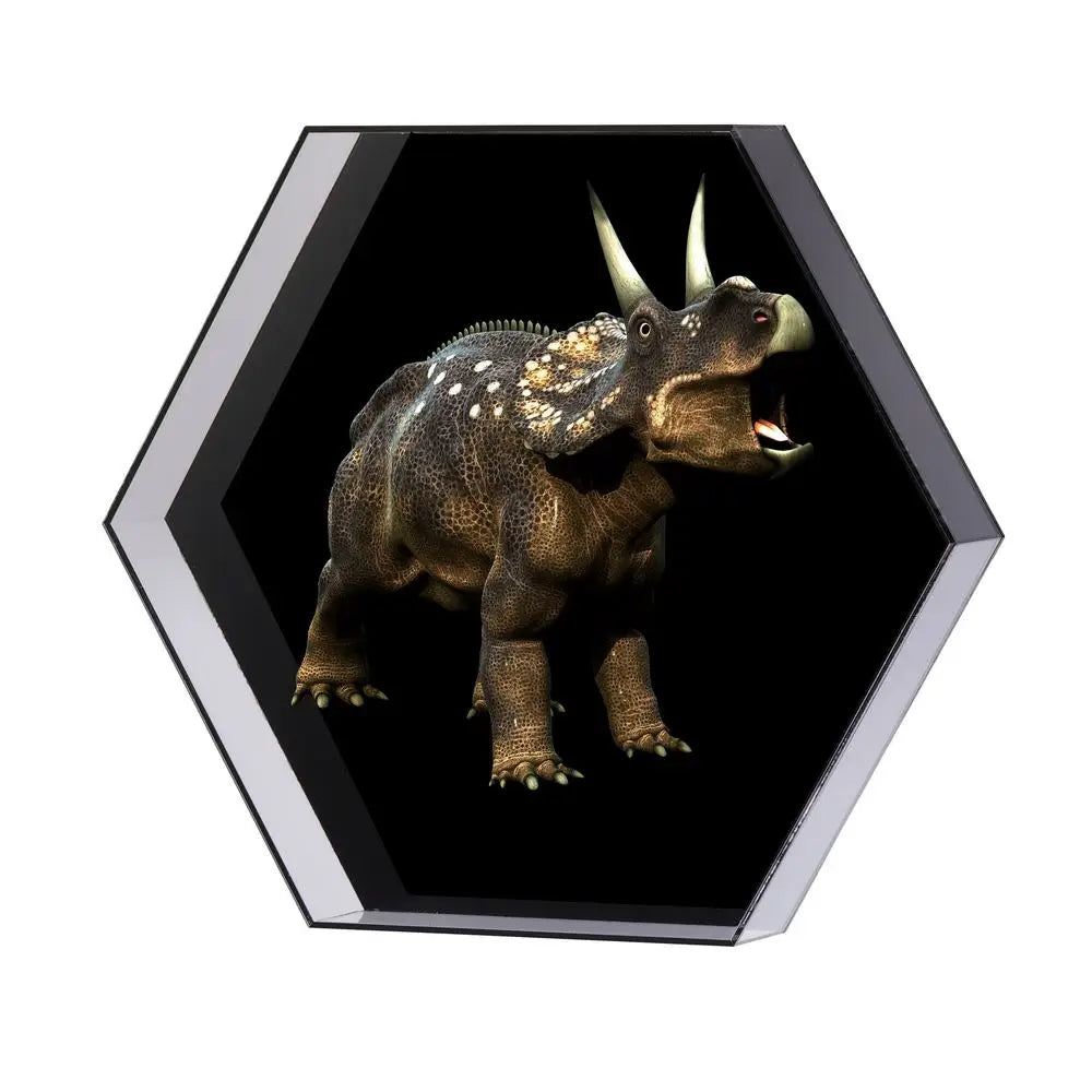 Hexagon 30cm HD 3D Advertising Holographic Display Fan Projector Light Hologram Rechargeable WIFI Videos Hologram LED Lamp Beads