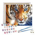 Hand-painted Canvas Painting by Numbers Animal Picture Painting by Numbers DIY Kit Paint by Numbers with Frame