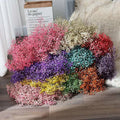 Wholesale Baby Breath Colorful Dried Flower Bouquet a Level Preserved Natural Flowers for Mother's Day Valentine's Day Christmas