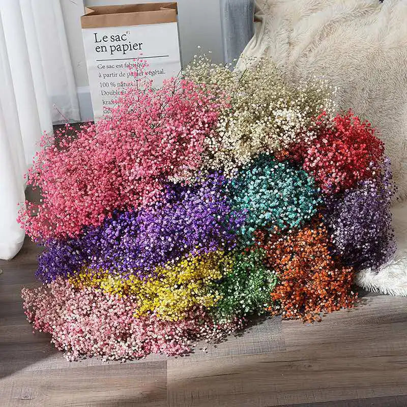Wholesale Baby Breath Colorful Dried Flower Bouquet a Level Preserved Natural Flowers for Mother's Day Valentine's Day Christmas