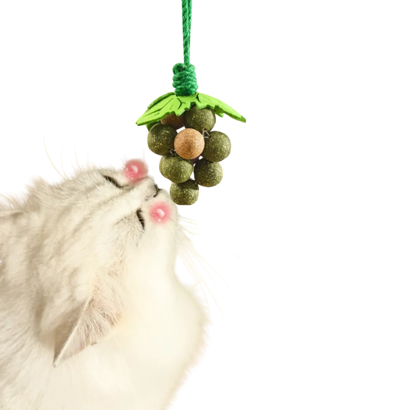 Minty Fun Eco-Friendly Cartoon Cat Plush Mint Ball Treat-Toy with Catnip for Hours of Play