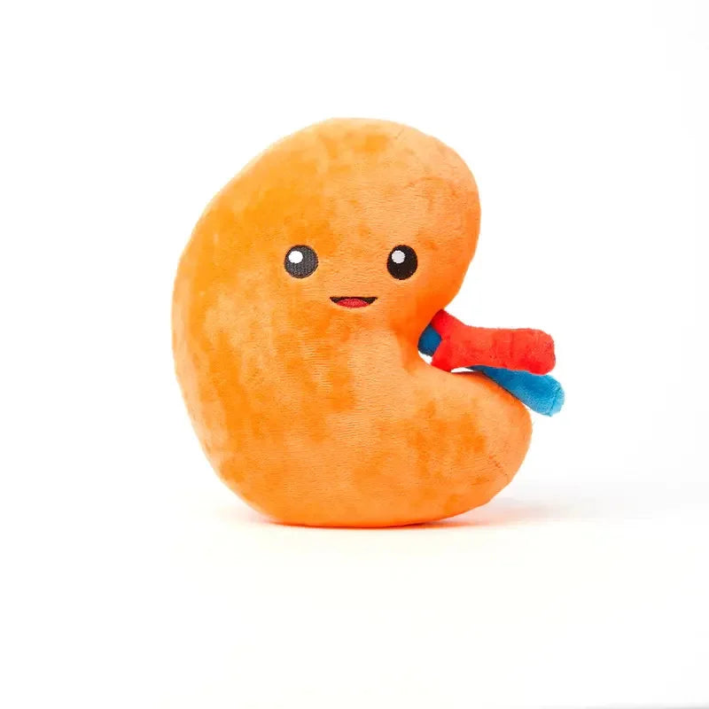 Cute Organ Plush Toy Stomach Plush Toy Soft Lovely Pillow Room Decoration Gift for Kids