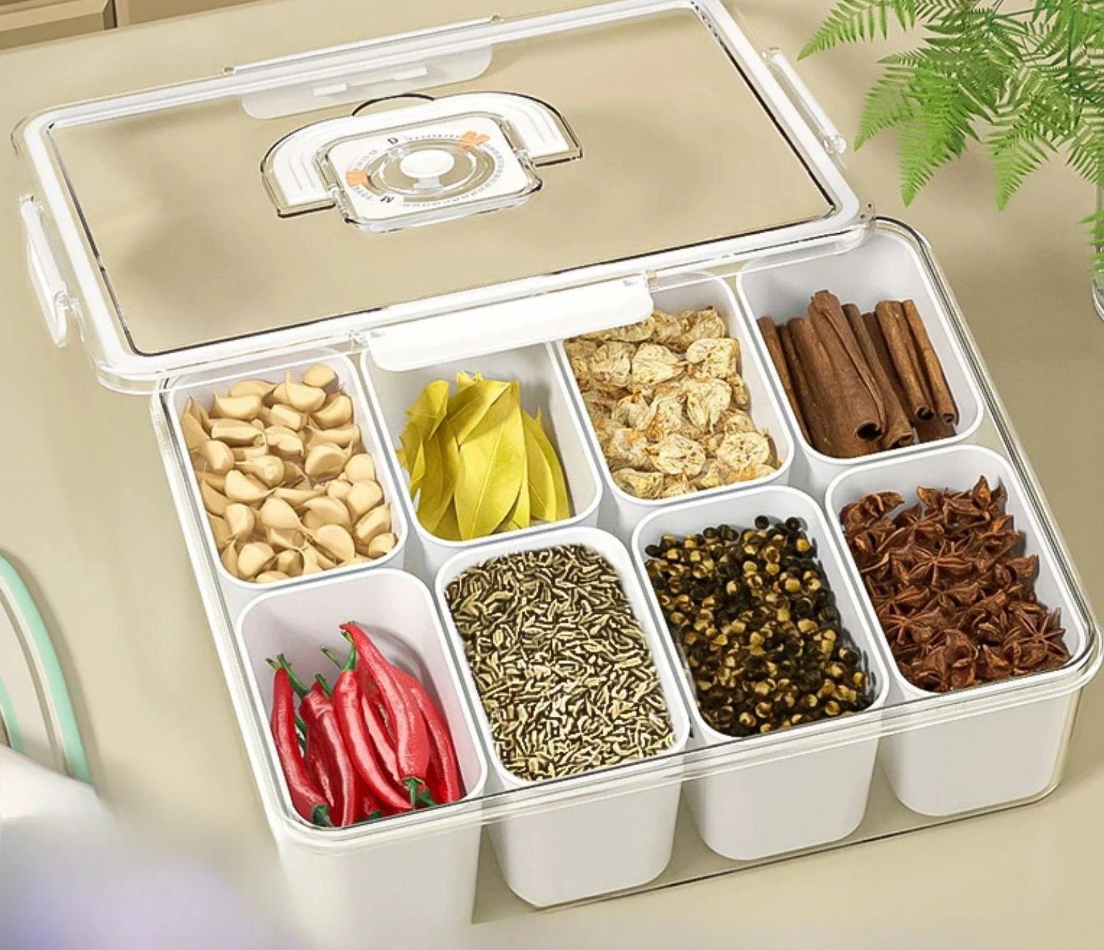 9 Compartment Plastic Clear Spice Storage Container Snack Box Container Divided Serving Tray With Lid and Handle